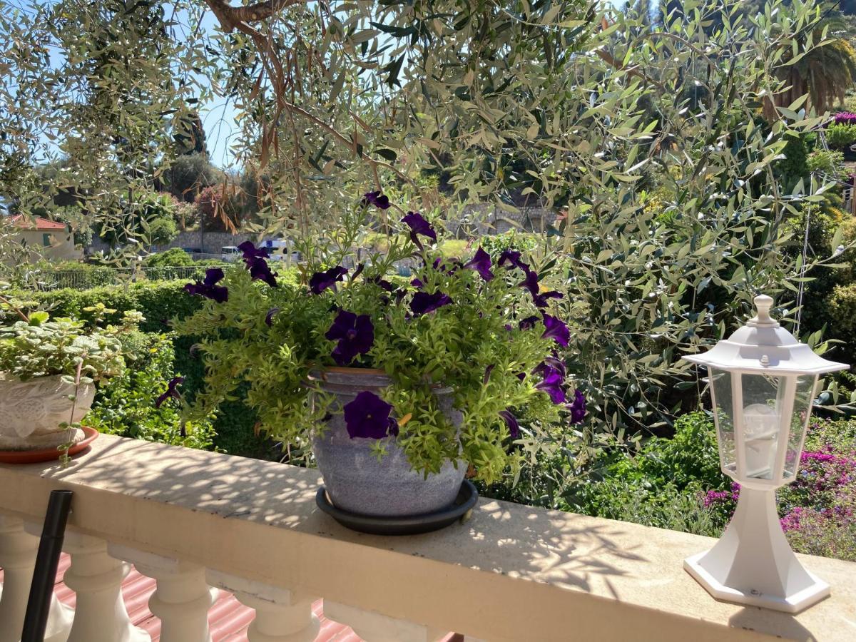 Studio Villa la Cigale avec grand Terrasse Mentone Esterno foto